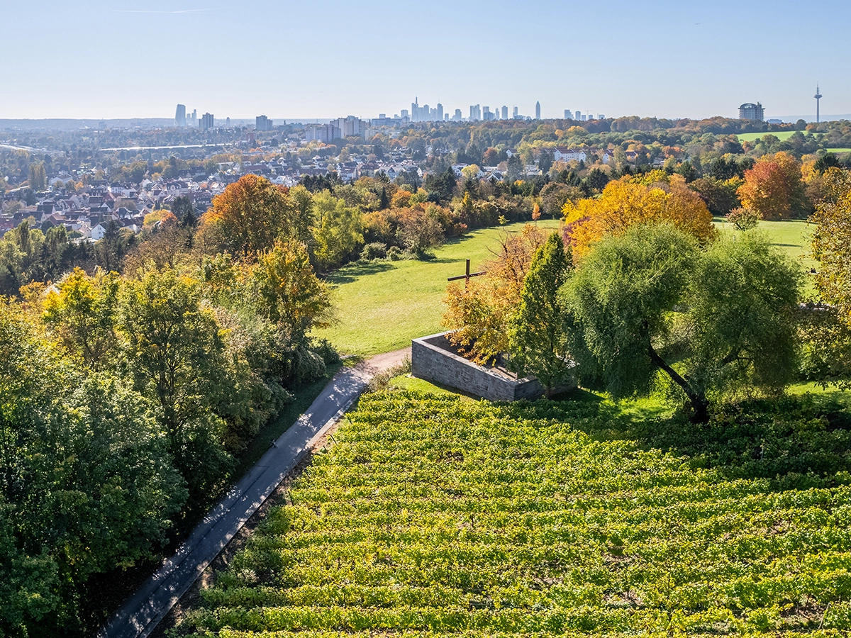 Skyline Metropolregion Rhein-Neckar Richtung Frankfurt